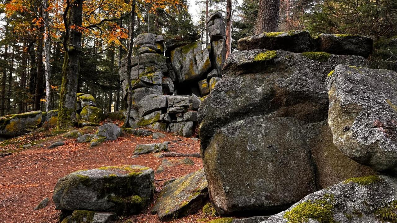 Hauslipno Bungalov Na Lipne Lipno nad Vltavou Eksteriør billede