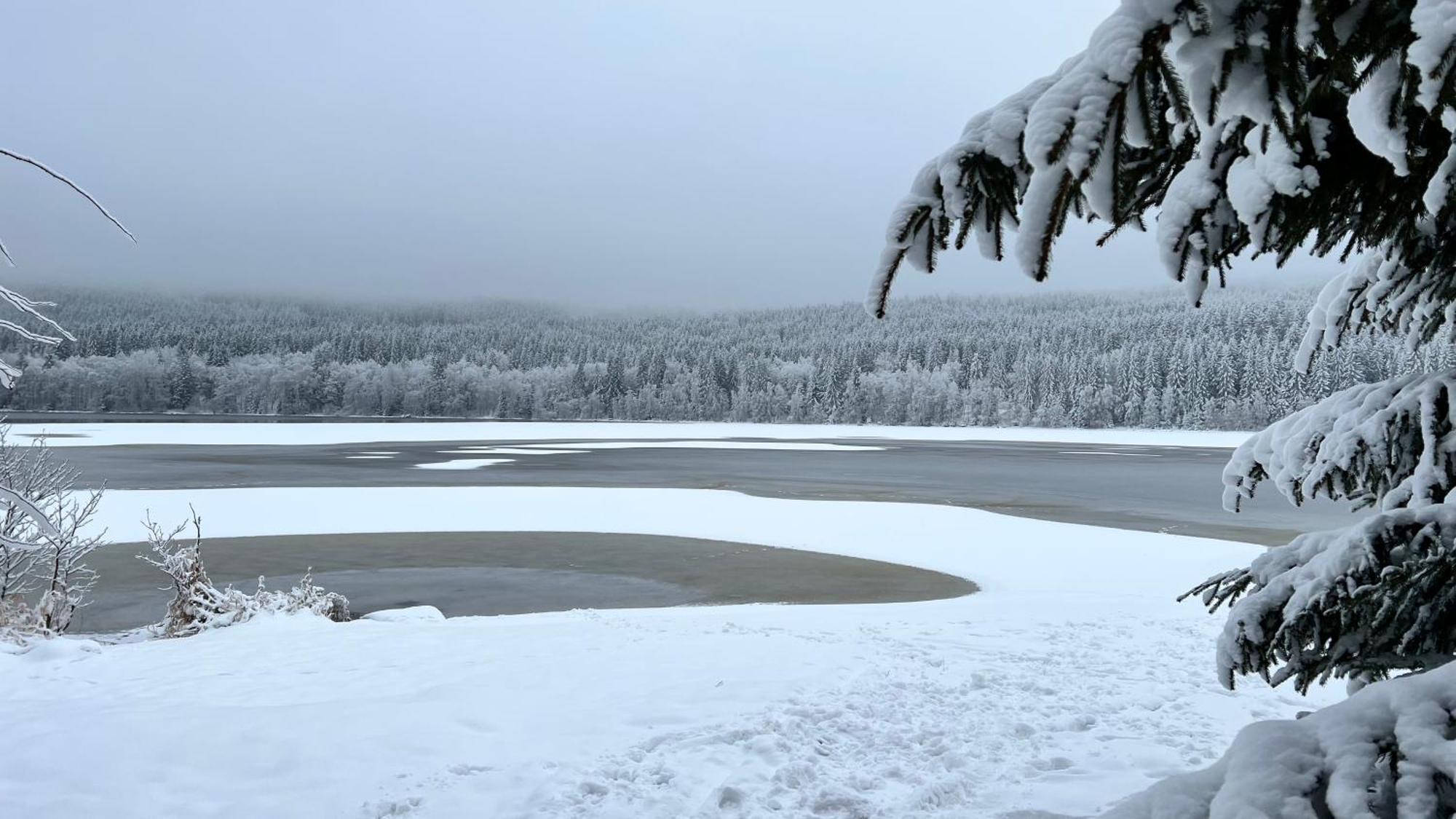 Hauslipno Bungalov Na Lipne Lipno nad Vltavou Eksteriør billede